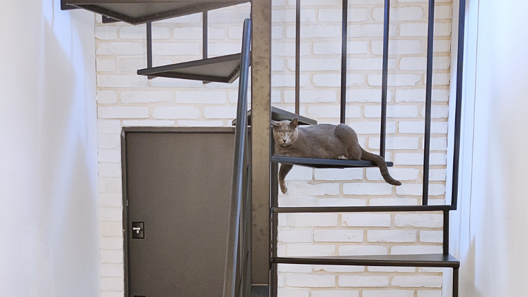 Metalowe schody na poddasze wytrzymałość, estetyka, funkcjonalność